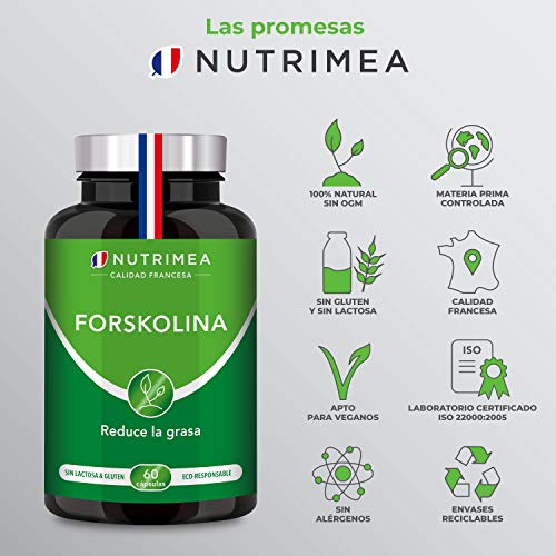 Quemagrasas Natural Adelgazante Termogenico Adelgazar Potente Forskolina Fat Burner Natural Acelera el Metabolismo Capsulas vegetales Fabricado en FRANCIA - Perder Peso Rapido SIN Efecto Rebote !!