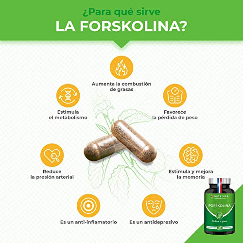 Quemagrasas Natural Adelgazante Termogenico Adelgazar Potente Forskolina Fat Burner Natural Acelera el Metabolismo Capsulas vegetales Fabricado en FRANCIA - Perder Peso Rapido SIN Efecto Rebote !!