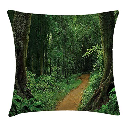QUEMIN Jungle Decor Throw Pillow Cojín, Camino en el Bosque Tailandia Fresh Calm Nature Park Meditación Senderismo Imagen, Funda de Almohada Decorativa Cuadrada Decorativa, Verde 45x45 cm