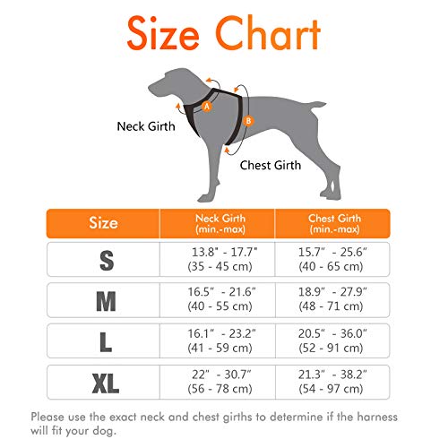 rabbitgoo Arnes Antitirones Perro Ajustable con Lineas Reflectantes Arnés Coche Perro Coche Adiesreamiento Arnes Perro Chaleco Transpirable con Asa Seguridad Easy Walk Grande Naranja rabbitgoo Arnes Antitirones Perro Ajustable con Lineas Reflectantes Arnés Coche Perro Coche Adiesreamiento Arnes Perro Chaleco Transpirable con Asa Seguridad Easy Walk Grande Naranja