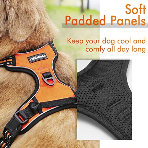 rabbitgoo Arnes Antitirones Perro Ajustable con Lineas Reflectantes Arnés Coche Perro Coche Adiesreamiento Arnes Perro Chaleco Transpirable con Asa Seguridad Easy Walk Grande Naranja rabbitgoo Arnes Antitirones Perro Ajustable con Lineas Reflectantes Arnés Coche Perro Coche Adiesreamiento Arnes Perro Chaleco Transpirable con Asa Seguridad Easy Walk Grande Naranja