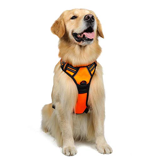 rabbitgoo Arnes Antitirones Perro Ajustable con Lineas Reflectantes Arnés Coche Perro Coche Adiesreamiento Arnes Perro Chaleco Transpirable con Asa Seguridad Easy Walk Grande Naranja rabbitgoo Arnes Antitirones Perro Ajustable con Lineas Reflectantes Arnés Coche Perro Coche Adiesreamiento Arnes Perro Chaleco Transpirable con Asa Seguridad Easy Walk Grande Naranja