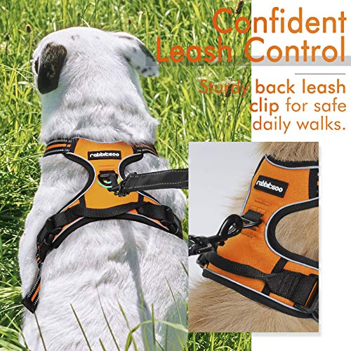 rabbitgoo Arnes Antitirones Perro Ajustable con Lineas Reflectantes Arnés Coche Perro Coche Adiesreamiento Arnes Perro Chaleco Transpirable con Asa Seguridad Easy Walk Grande Naranja rabbitgoo Arnes Antitirones Perro Ajustable con Lineas Reflectantes Arnés Coche Perro Coche Adiesreamiento Arnes Perro Chaleco Transpirable con Asa Seguridad Easy Walk Grande Naranja