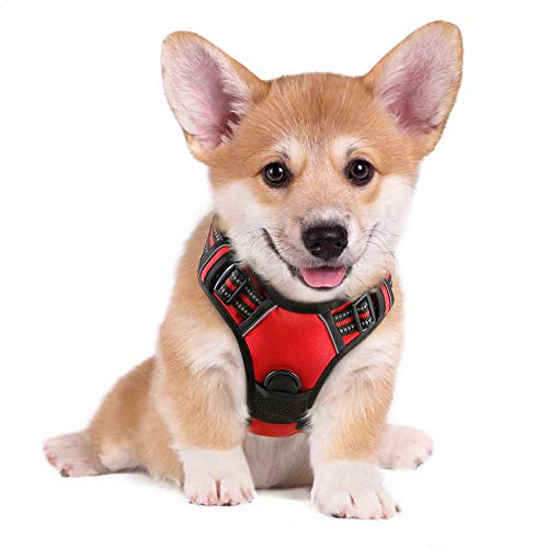 rabbitgoo Arnés Perro Pequeño Color Rojo Arnés Antitirones Perros Chaleco Cómodo Mascotas Líneas Reflectores Mejor Seguridad en Noche Tamaño S Pequeño rabbitgoo Arnés Perro Pequeño Color Rojo Arnés Antitirones Perros Chaleco Cómodo Mascotas Líneas Reflectores Mejor Seguridad en Noche Tamaño S Pequeño