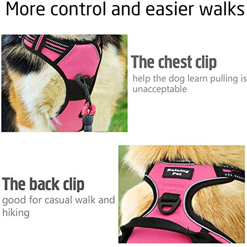 Raining Pet Arnés para Perros Grandes, arnés de Seguridad no Pull para Perros pequeños y medianos, arnés de Pecho para Perros, Suave y Acolchado, Transpirable Raining Pet Arnés para Perros Grandes, arnés de Seguridad no Pull para Perros pequeños y medianos, arnés de Pecho para Perros, Suave y Acolchado, Transpirable