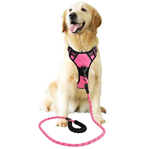 Raining Pet Arnés para Perros Grandes, arnés de Seguridad no Pull para Perros pequeños y medianos, arnés de Pecho para Perros, Suave y Acolchado, Transpirable Raining Pet Arnés para Perros Grandes, arnés de Seguridad no Pull para Perros pequeños y medianos, arnés de Pecho para Perros, Suave y Acolchado, Transpirable