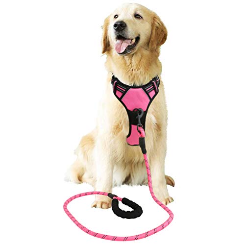 Raining Pet Arnés para Perros Grandes, arnés de Seguridad no Pull para Perros pequeños y medianos, arnés de Pecho para Perros, Suave y Acolchado, Transpirable