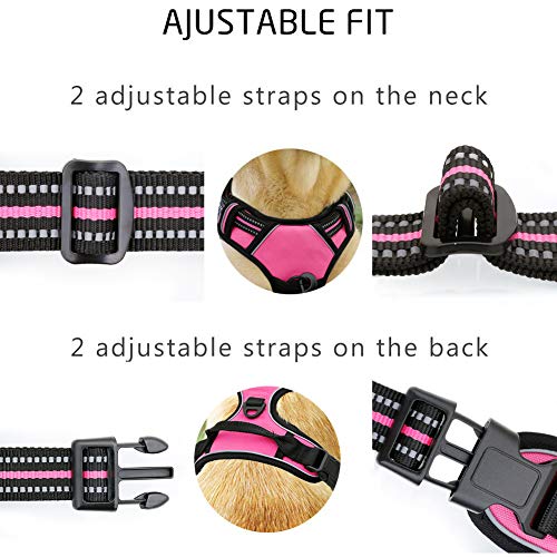 Raining Pet Arnés para Perros Grandes, arnés de Seguridad no Pull para Perros pequeños y medianos, arnés de Pecho para Perros, Suave y Acolchado, Transpirable Raining Pet Arnés para Perros Grandes, arnés de Seguridad no Pull para Perros pequeños y medianos, arnés de Pecho para Perros, Suave y Acolchado, Transpirable