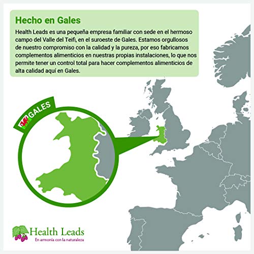 Raíz de Jengibre 500mg x 90 cápsulas (100% libre de aditivos) Raíz de Jengibre 500mg x 90 cápsulas (100% libre de aditivos)