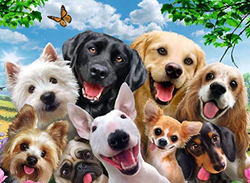 Ravensburger Puzzle Selfie de Perros - Puzzle 300 XXL, 300 piezas, para niños 9+ años (13228) Ravensburger Puzzle Selfie de Perros - Puzzle 300 XXL, 300 piezas, para niños 9+ años (13228)
