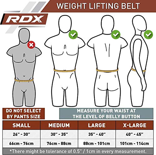 RDX Cinturon Musculacion para Power Lifting Gimnasio Entrenamiento | Aprobado por IPL y USPA | 4" Lumbar Doble Hebilla Peso Levantamiento Cinturón para Gym Fitness, Muscular, Xfit Ejercicio, Deadlifts RDX Cinturon Musculacion para Power Lifting Gimnasio Entrenamiento | Aprobado por IPL y USPA | 4" Lumbar Doble Hebilla Peso Levantamiento Cinturón para Gym Fitness, Muscular, Xfit Ejercicio, Deadlifts