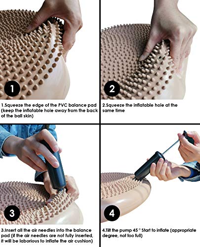 REEHUT Cojín de Equilibrio, Disco de Equilibrio para Fitness, Yoga, Pilates, Entrenamiento y Ejercicio Físico, Disco de Inestabilidad Hinchable con Bomba de Aire Incluida (Diámetro 33cm, Púrpura) REEHUT Cojín de Equilibrio, Disco de Equilibrio para Fitness, Yoga, Pilates, Entrenamiento y Ejercicio Físico, Disco de Inestabilidad Hinchable con Bomba de Aire Incluida (Diámetro 33cm, Púrpura)