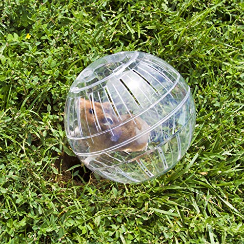 Relaxdays Bola Hámster Juguete para Roedores, Plástico Transparente, 14 cm