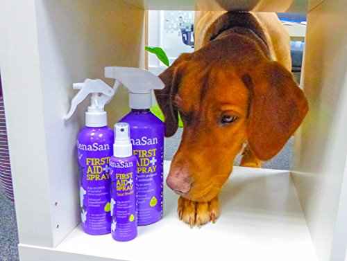 RenaSan Spray de Primeros Auxilios 500ml - para Todos los Animales, Perros, Gatos, Mascotas pequeñas y Grandes, Caballos, Reptiles, Aves de Corral y Aves, Animales de Granja RenaSan Spray de Primeros Auxilios 500ml - para Todos los Animales, Perros, Gatos, Mascotas pequeñas y Grandes, Caballos, Reptiles, Aves de Corral y Aves, Animales de Granja