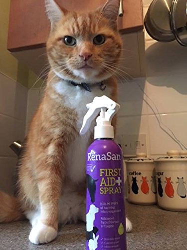 RenaSan Spray de Primeros Auxilios 500ml - para Todos los Animales, Perros, Gatos, Mascotas pequeñas y Grandes, Caballos, Reptiles, Aves de Corral y Aves, Animales de Granja RenaSan Spray de Primeros Auxilios 500ml - para Todos los Animales, Perros, Gatos, Mascotas pequeñas y Grandes, Caballos, Reptiles, Aves de Corral y Aves, Animales de Granja