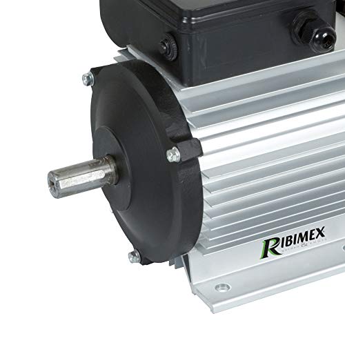 Ribitech 4842 - Motor eléctrico de 1.400 rev/min