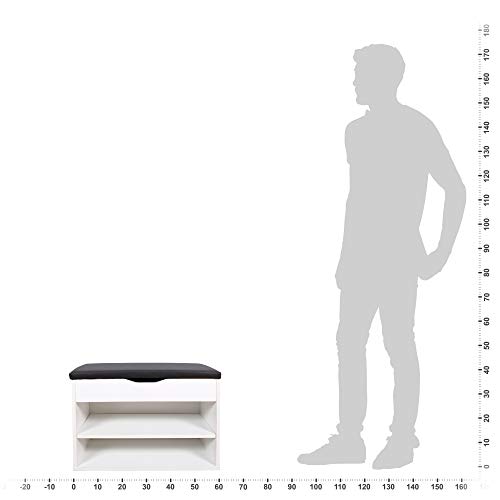 RICOO WM032-W-A Banco Zapatero 60x42x30cm Armario Interior con Asiento Organizador Zapatos Mueble recibidor Perchero Entrada Madera Blanco RICOO WM032-W-A Banco Zapatero 60x42x30cm Armario Interior con Asiento Organizador Zapatos Mueble recibidor Perchero Entrada Madera Blanco
