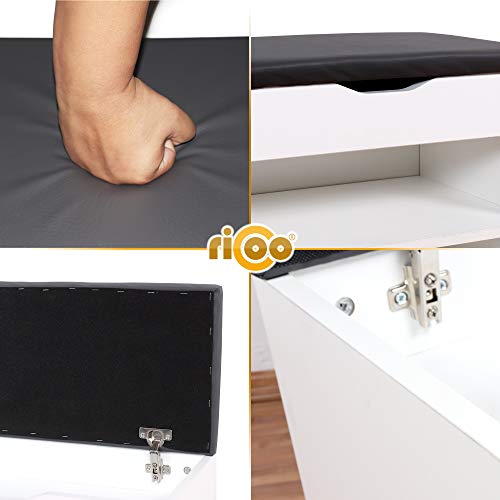 RICOO WM032-W-A Banco Zapatero 60x42x30cm Armario Interior con Asiento Organizador Zapatos Mueble recibidor Perchero Entrada Madera Blanco RICOO WM032-W-A Banco Zapatero 60x42x30cm Armario Interior con Asiento Organizador Zapatos Mueble recibidor Perchero Entrada Madera Blanco