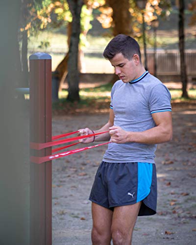 Roar® Bandas elasticas musculacion, Set de 5 Gomas elasticas Fitness con Bolsa, Bandas de Resistencia de látex Natural, Cintas elasticas musculacion, Gomas/Ligas de Ejercicios gluteos, Bands Roar® Bandas elasticas musculacion, Set de 5 Gomas elasticas Fitness con Bolsa, Bandas de Resistencia de látex Natural, Cintas elasticas musculacion, Gomas/Ligas de Ejercicios gluteos, Bands