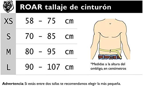 Roar® Cinturón Lumbar Gimnasio, Cinturon Gimnasio Hombre y Mujer, Cinturon Halterofilia, Powerlifting, Crossfit, Levantamiento Peso, Musculacion, Cinturon Gym Hombre, Cinturon Pesas (Gris, L) Roar® Cinturón Lumbar Gimnasio, Cinturon Gimnasio Hombre y Mujer, Cinturon Halterofilia, Powerlifting, Crossfit, Levantamiento Peso, Musculacion, Cinturon Gym Hombre, Cinturon Pesas (Gris, L)