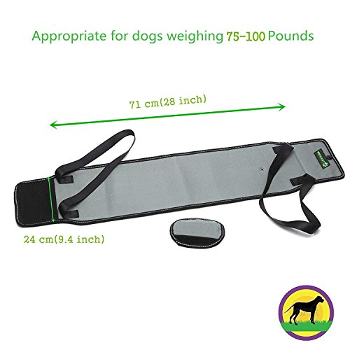 RockPet Soporte para Perros con Manija para la Ayuda Canina, Aprobado por los Veterinarios. Arnés para Levantar Perros Durante la Rehabilitación (L,Gris) RockPet Soporte para Perros con Manija para la Ayuda Canina, Aprobado por los Veterinarios. Arnés para Levantar Perros Durante la Rehabilitación (L,Gris)