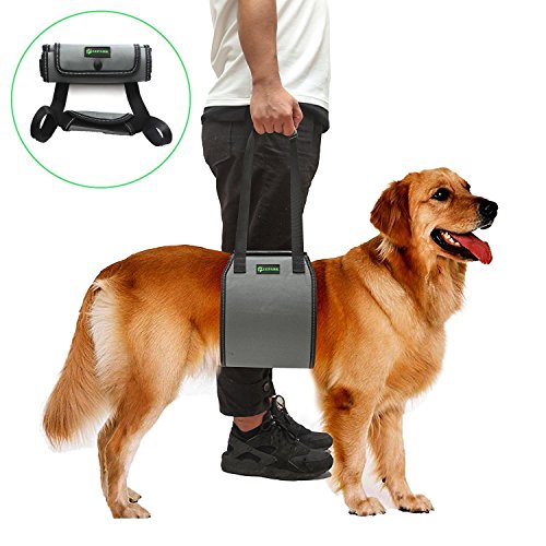 RockPet Soporte para Perros con Manija para la Ayuda Canina, Aprobado por los Veterinarios. Arnés para Levantar Perros Durante la Rehabilitación (L,Gris) RockPet Soporte para Perros con Manija para la Ayuda Canina, Aprobado por los Veterinarios. Arnés para Levantar Perros Durante la Rehabilitación (L,Gris)