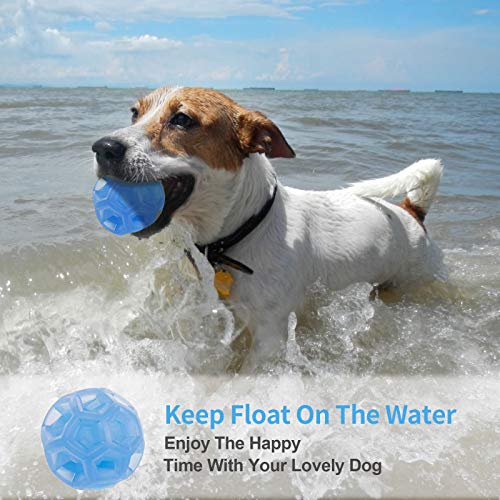 Rocky & Chao Juguetes para Perros Pelota de Perro Pelota de Goma y Impermeable Rocky & Chao Juguetes para Perros Pelota de Perro Pelota de Goma y Impermeable