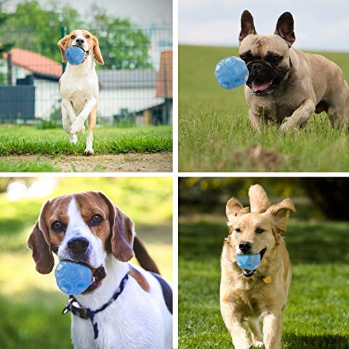 Rocky & Chao Juguetes para Perros Pelota de Perro Pelota de Goma y Impermeable Rocky & Chao Juguetes para Perros Pelota de Perro Pelota de Goma y Impermeable