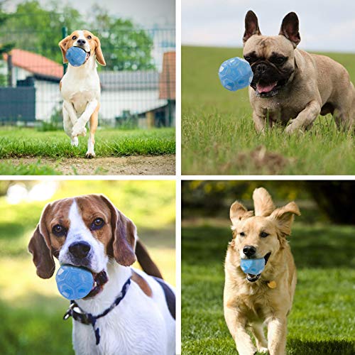 Rocky & Chao Juguetes para Perros Pelota de Perro Pelota de Goma y Impermeable