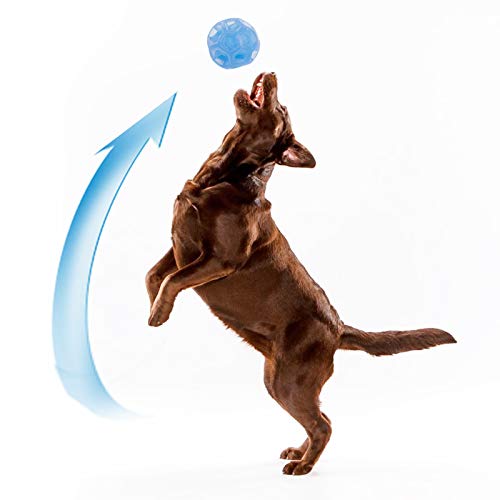 Rocky & Chao Juguetes para Perros Pelota de Perro Pelota de Goma y Impermeable Rocky & Chao Juguetes para Perros Pelota de Perro Pelota de Goma y Impermeable