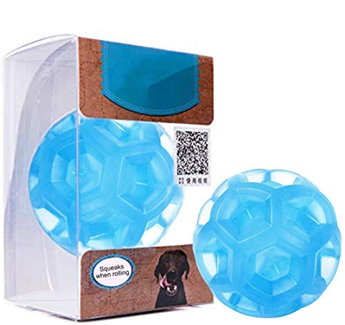 Rocky & Chao Juguetes para Perros Pelota de Perro Pelota de Goma y Impermeable