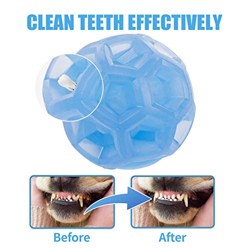 Rocky & Chao Juguetes para Perros Pelota de Perro Pelota de Goma y Impermeable Rocky & Chao Juguetes para Perros Pelota de Perro Pelota de Goma y Impermeable