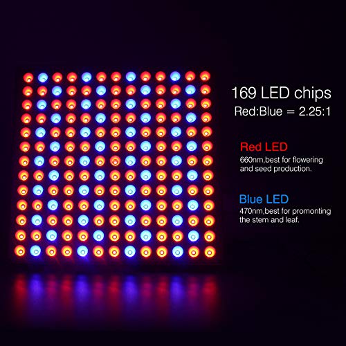 Roleadro Lamparas Led Cultivo Interior Grow Light 75W para Foco Plantas Crecimiento Indoor Hidropónica Flores y Planta de Semillero Cultivo Roleadro Lamparas Led Cultivo Interior Grow Light 75W para Foco Plantas Crecimiento Indoor Hidropónica Flores y Planta de Semillero Cultivo