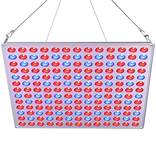 Roleadro Lamparas Led Cultivo Interior Grow Light 75W para Foco Plantas Crecimiento Indoor Hidropónica Flores y Planta de Semillero Cultivo Roleadro Lamparas Led Cultivo Interior Grow Light 75W para Foco Plantas Crecimiento Indoor Hidropónica Flores y Planta de Semillero Cultivo