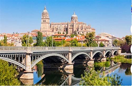 Rompecabezas de 1000 piezas La Catedral de Salamanca es una catedral gótica y barroca tardía Navidad - Rompecabezas de Santa