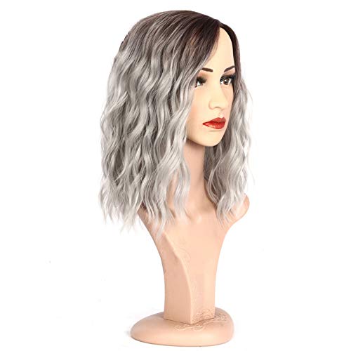 Ruisi Peluca gris degradado para las mujeres peluca de pelo rizado resistente al calor peluca de fibra química sintética y red de pelo libre Ruisi Peluca gris degradado para las mujeres peluca de pelo rizado resistente al calor peluca de fibra química sintética y red de pelo libre