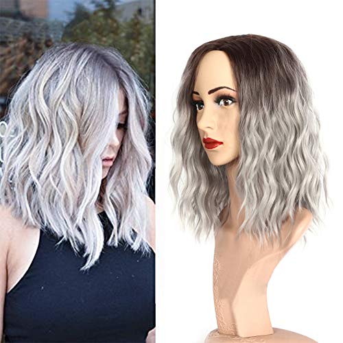 Ruisi Peluca gris degradado para las mujeres peluca de pelo rizado resistente al calor peluca de fibra química sintética y red de pelo libre Ruisi Peluca gris degradado para las mujeres peluca de pelo rizado resistente al calor peluca de fibra química sintética y red de pelo libre