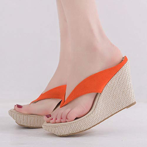 Sandalias para Mujer Verano 2019 Plataforma Cuña Fiesta PAOLIAN Chanclas Vestir Casual Zapatos Tacon Altas Dama Zuecos Elegantes Flip-Flops Grandes 34-42 EU Sandalias para Mujer Verano 2019 Plataforma Cuña Fiesta PAOLIAN Chanclas Vestir Casual Zapatos Tacon Altas Dama Zuecos Elegantes Flip-Flops Grandes 34-42 EU