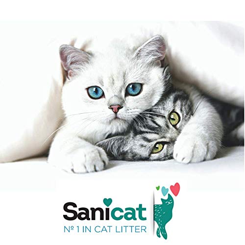 SANICAT Evolution Adult, Arena de Gato Aglomerante - 6L