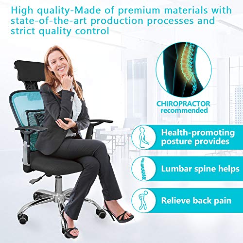 sanlinkee 2 PCS Cojín Lumbar Soporte para la Espalda Lumbar ergonómico Cojín de Soporte Lumbar para Silla de Oficina Coche corrije la Postura Alivia el Dolor Lumbar(Negro) sanlinkee 2 PCS Cojín Lumbar Soporte para la Espalda Lumbar ergonómico Cojín de Soporte Lumbar para Silla de Oficina Coche corrije la Postura Alivia el Dolor Lumbar(Negro)