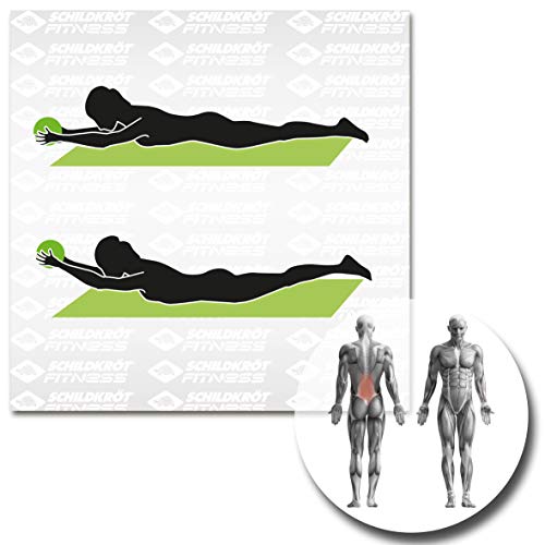 Schildkröt Fitness Balón Medicinal 1,0 kg, Negro/Verde, en Caja, 960061 Schildkröt Fitness Balón Medicinal 1,0 kg, Negro/Verde, en Caja, 960061