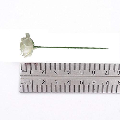 Schneespitze 288pcs Mini Papel Artificial Flores,Rosas Artificiales de Rosa para la Decoración Adecuado para Bodas, Decoración, Bricolaje Hogar Artesanía,2 Paquetes Schneespitze 288pcs Mini Papel Artificial Flores,Rosas Artificiales de Rosa para la Decoración Adecuado para Bodas, Decoración, Bricolaje Hogar Artesanía,2 Paquetes