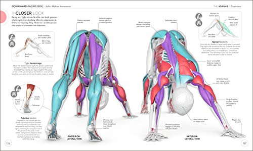 Science of Yoga: Understand the Anatomy and Physiology to Perfect Your Practice