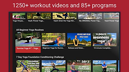 Sean Vigue's - Fitness Vault Sean Vigue's - Fitness Vault