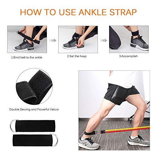 SeeKool Bandas de Fitness/Bandas de Resistencia, 5 Tubos de Ejercicios, con Asas, Correas de Tobillo y Anclaje, para Culturismo,Rehabilitación, Yoga e Pilates, Gimnasio en casa,Hombre y Mujer SeeKool Bandas de Fitness/Bandas de Resistencia, 5 Tubos de Ejercicios, con Asas, Correas de Tobillo y Anclaje, para Culturismo,Rehabilitación, Yoga e Pilates, Gimnasio en casa,Hombre y Mujer