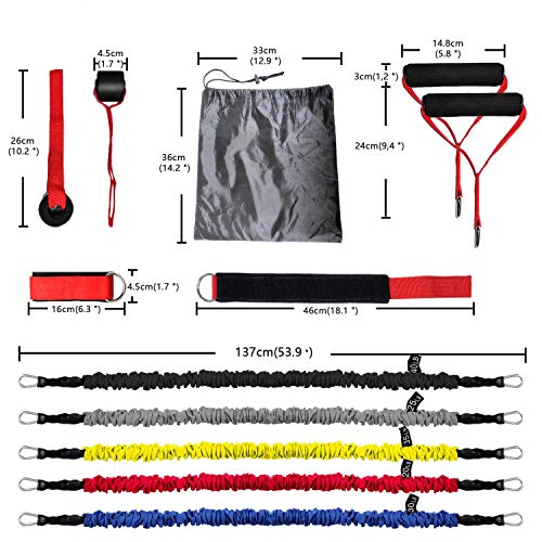 Set de Bandas de Resistencia Yoyika 5pcs Bandas Elásticas para Entrenamiento Ejercicios Físicos Fitness Crossfit, Conjunto de Cuerdas Gomas Elásticas 150lbs para Gimnasio/Home, con Bolsa de Transporte