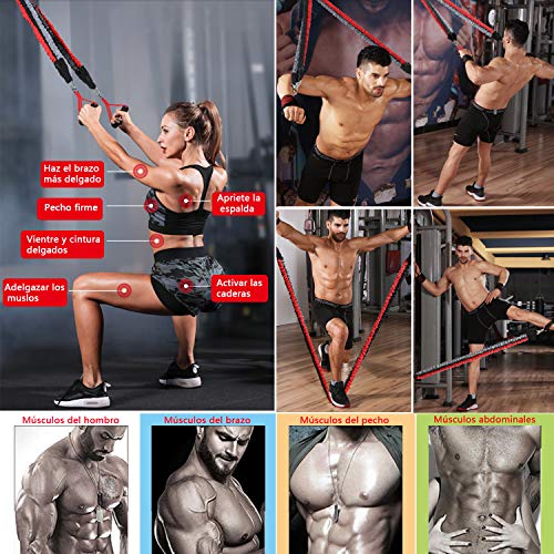 Set de Bandas de Resistencia Yoyika 5pcs Bandas Elásticas para Entrenamiento Ejercicios Físicos Fitness Crossfit, Conjunto de Cuerdas Gomas Elásticas 150lbs para Gimnasio/Home, con Bolsa de Transporte Set de Bandas de Resistencia Yoyika 5pcs Bandas Elásticas para Entrenamiento Ejercicios Físicos Fitness Crossfit, Conjunto de Cuerdas Gomas Elásticas 150lbs para Gimnasio/Home, con Bolsa de Transporte