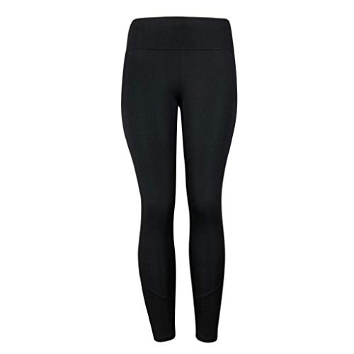SHOBDW Pantalones Mujer Moda Sólido Delgado Suave Entrenamiento Yoga Leggings Medias Fitness Deportes Gimnasio Correr Yoga Capri Cintura Alta Estiramiento Pantalones Deportivos SHOBDW Pantalones Mujer Moda Sólido Delgado Suave Entrenamiento Yoga Leggings Medias Fitness Deportes Gimnasio Correr Yoga Capri Cintura Alta Estiramiento Pantalones Deportivos