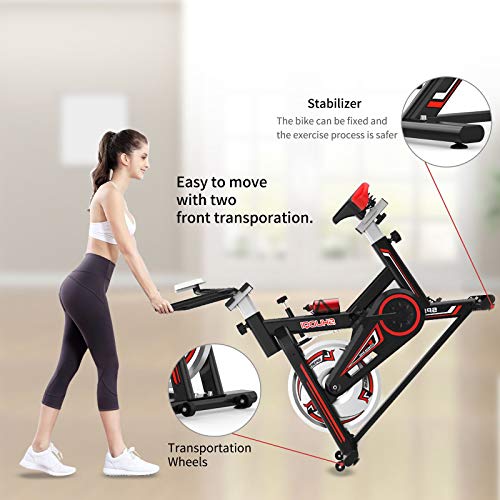 SHUOQI Bicicleta estáticas para Fitness, Bici de Spinning, Calidad Profesional, Rueda de inercia bidireccional,Transmisión por Cadena Fija,Asiento Ajustable, Pantalla LCD