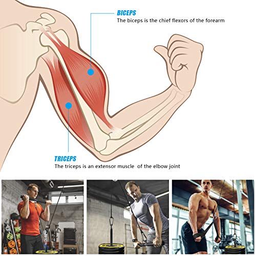 Sistema de cable de polea con mango de tríceps y correas Ejercicio de entrenamiento de fuerza con peso corporal Sistema de polea de peso LAT para bricolaje Gimnasio en casa Brazo Antebrazo Muñeca Sistema de cable de polea con mango de tríceps y correas Ejercicio de entrenamiento de fuerza con peso corporal Sistema de polea de peso LAT para bricolaje Gimnasio en casa Brazo Antebrazo Muñeca